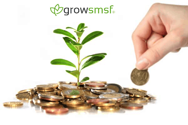 https://growsmsf.com.au/wp-content/uploads/2018/08/Grow-Super-SMSF-Strategy.png